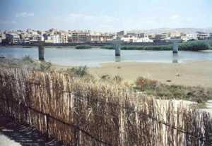 Barriera in canne - Foto: S. Ribisi